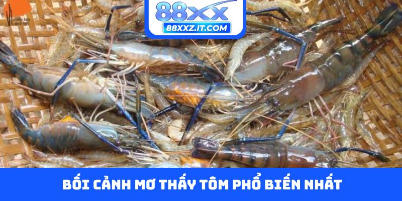 Bối cảnh mơ thấy tôm phổ biến nhất