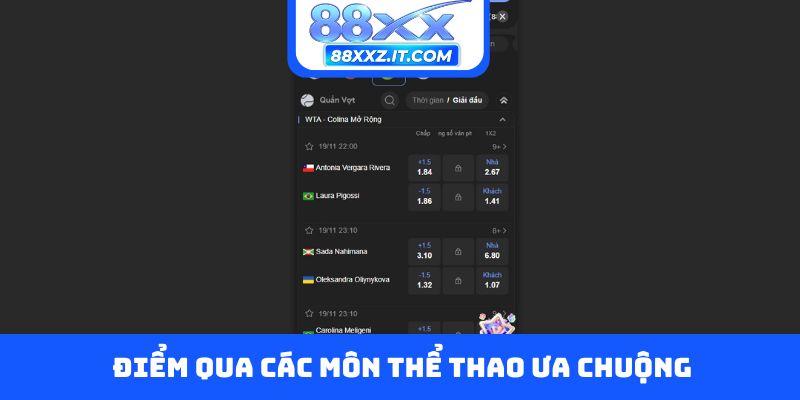 Điểm qua các môn thể thao ưa chuộng
