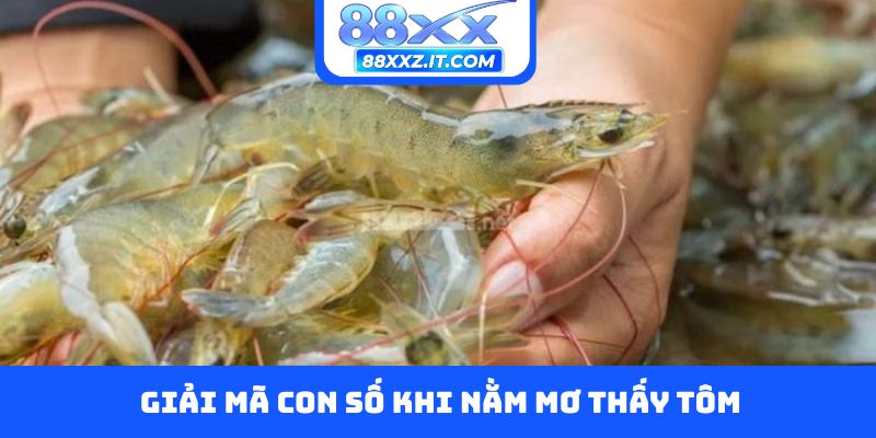 Giải mã con số khi nằm mơ thấy tôm