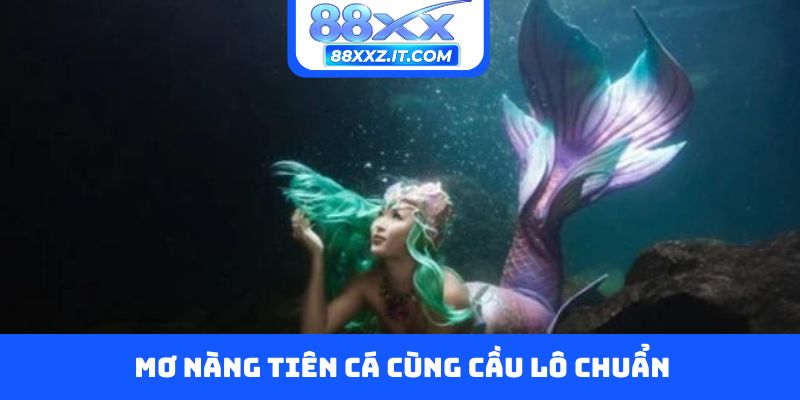 Mơ nàng tiên cá cùng cầu lô chuẩn