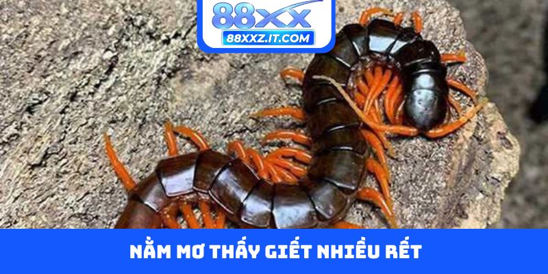Nằm mơ thấy giết nhiều rết