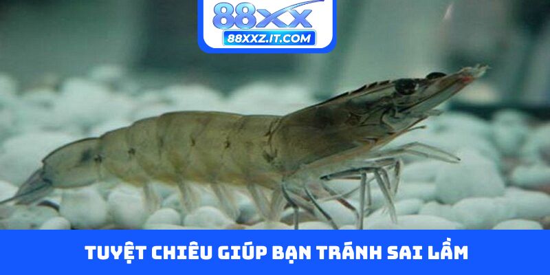 Tuyệt chiêu giúp bạn tránh sai lầm