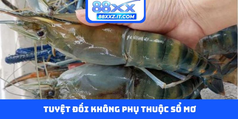 Tuyệt đối không phụ thuộc sổ mơ