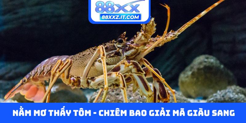 Nằm mơ thấy tôm
